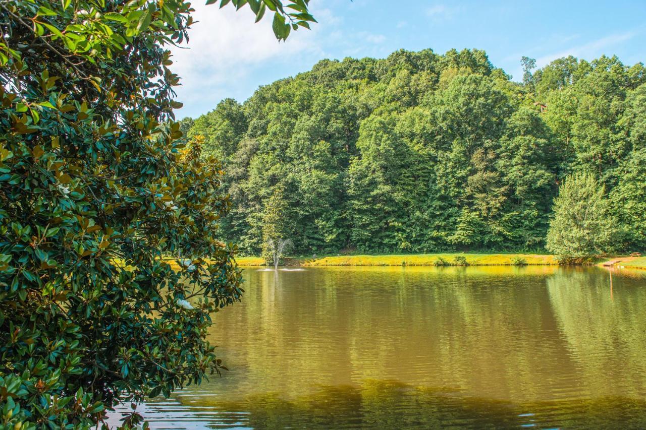 Star Seasons Retreat Villa Ellijay Eksteriør bilde